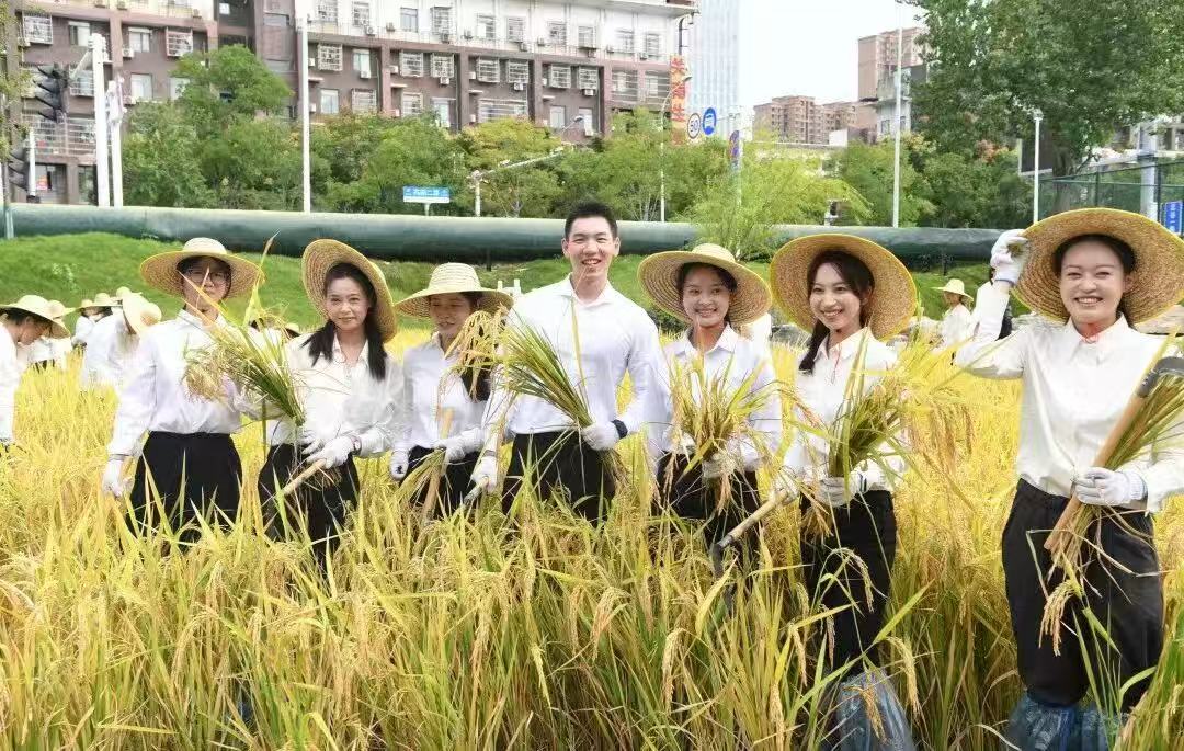 1762505478454452.jpg 1762505478454452.jpg